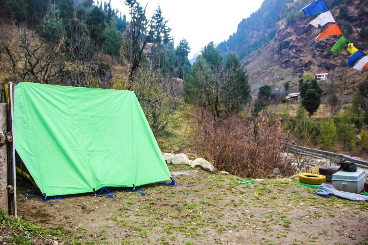 The Crazy Indian Pad
