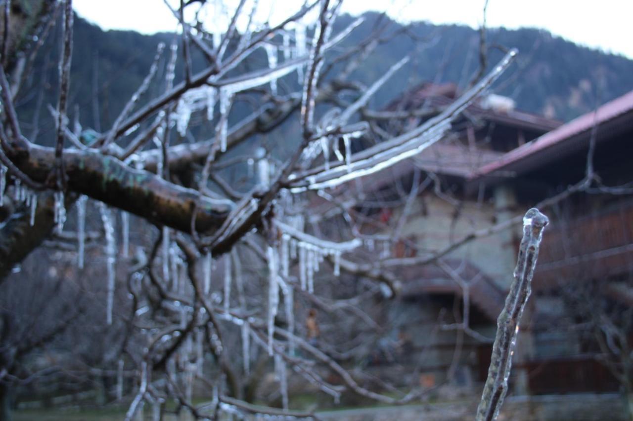 Resort Shivadya - A Luxury Boutique Manali (Himachal Pradesh)