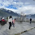 White Mist Manali