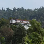 Naina Resort, Manali - A Beautiful Hidden Resort