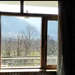 Manali Vibes And Trails
