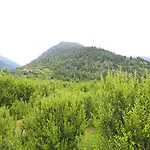 Oyo 9483 Himalayan Ecstacy Cottages