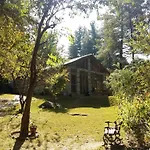 Tall Trees Resort