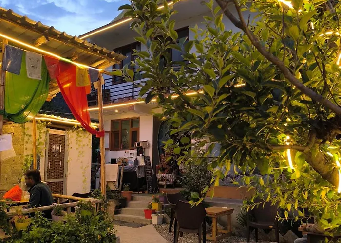 Farm Hostel & Camps