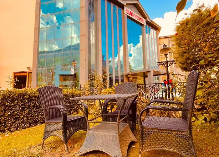 Hotel The North Wind In City Center, Manali