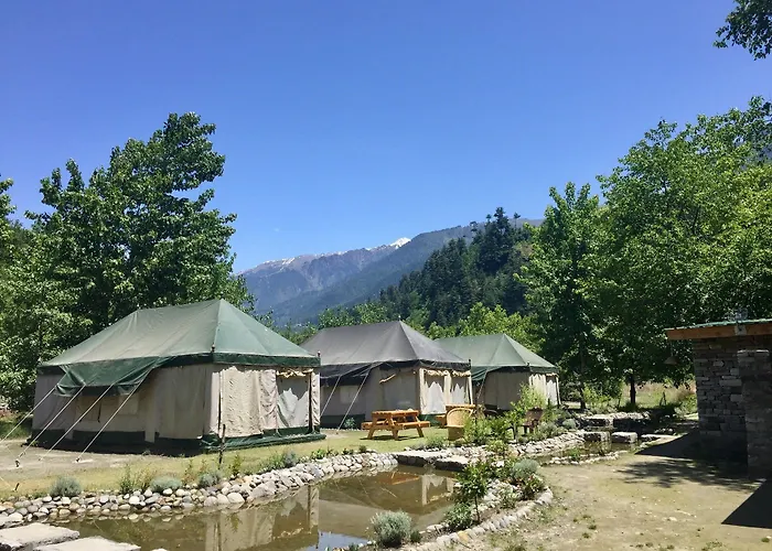 Tall Trees Resort