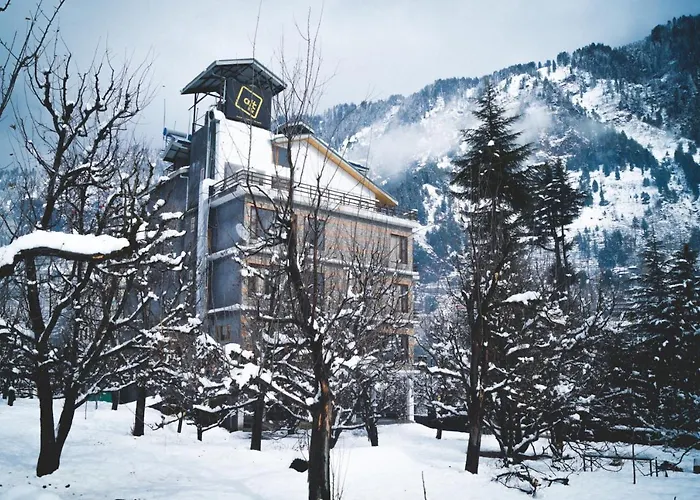Alt Life - Manali