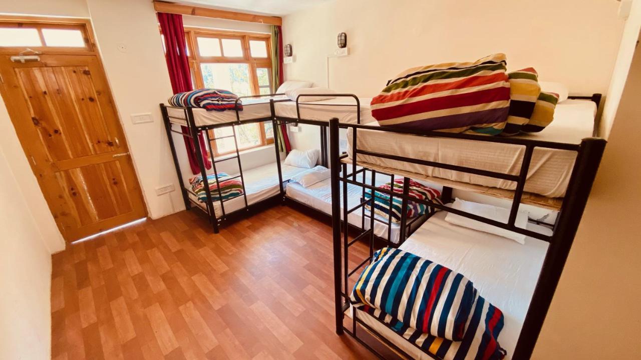 Madpackers Manali (Himachal Pradesh)