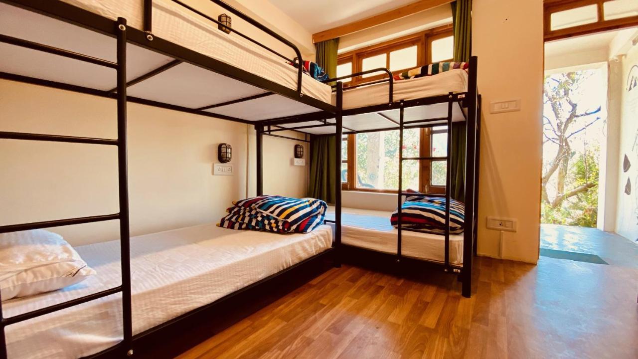 Madpackers * Manali (Himachal Pradesh)