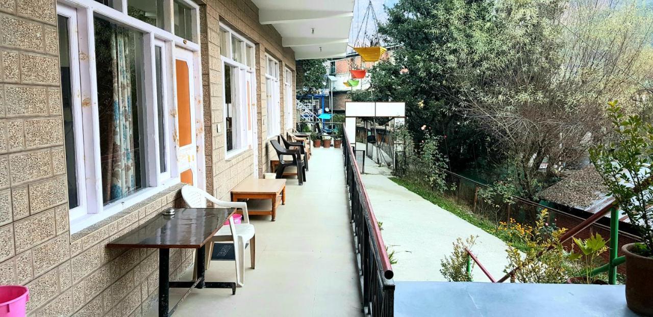 Lilly & Cafe Hostel *