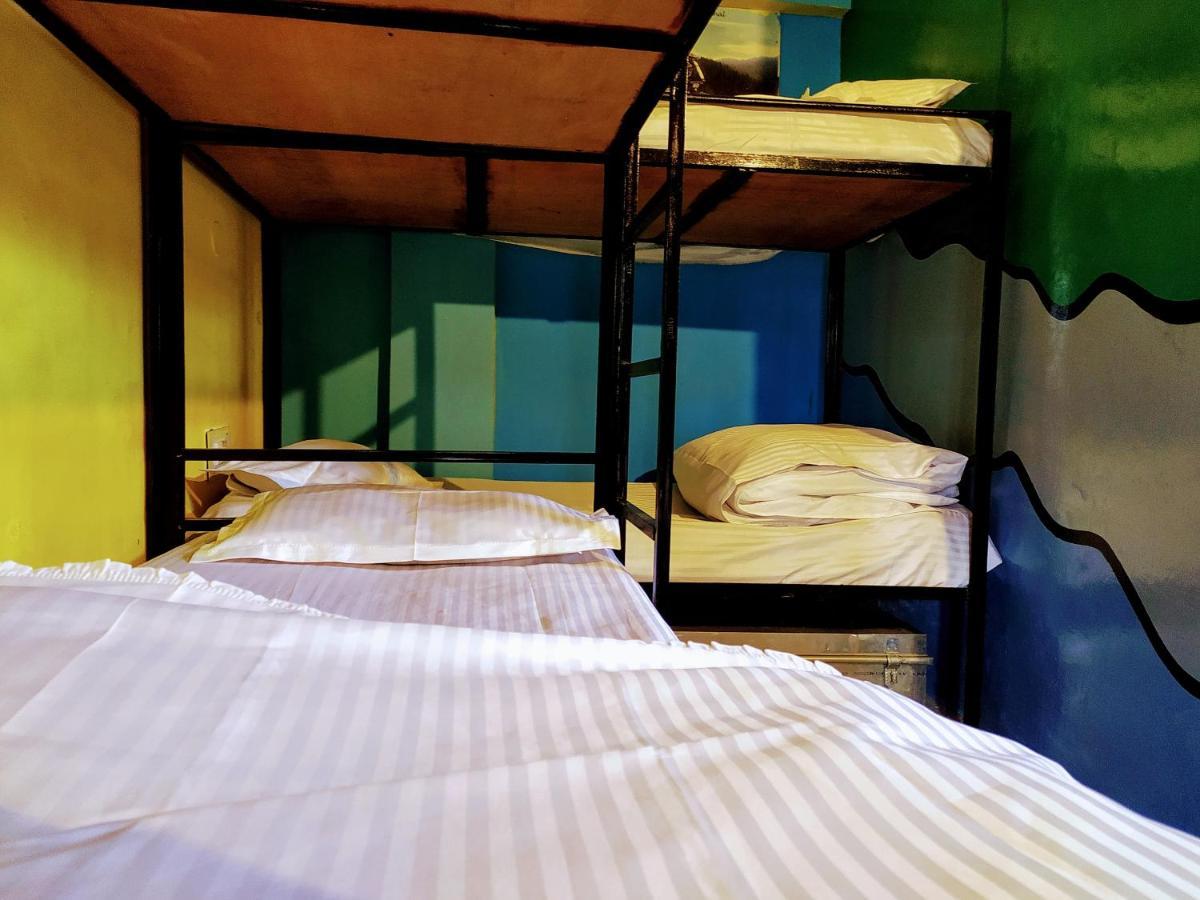 Hotel Antarctica &