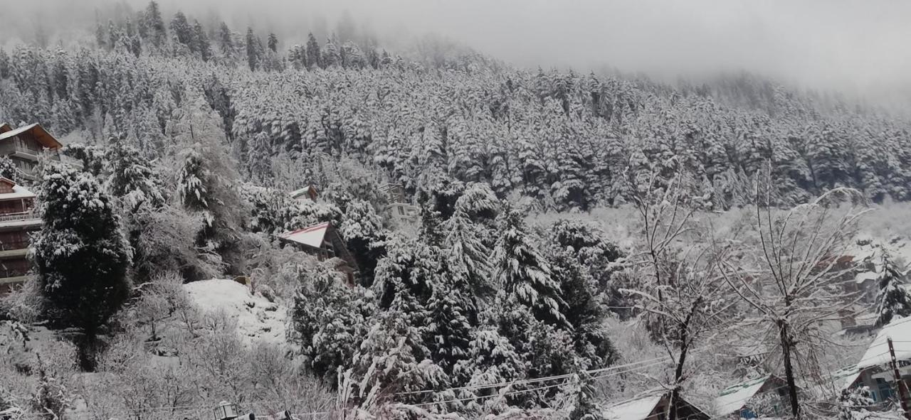 Mountain Valley Resort Manali (Himachal Pradesh)
