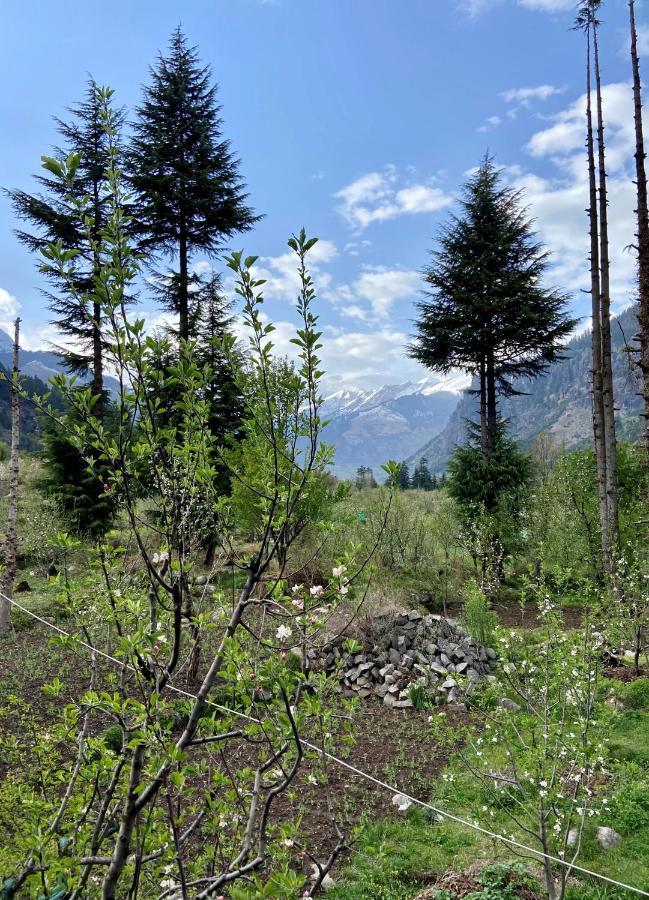 Getaway Manali (Himachal Pradesh)