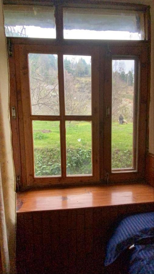 Guest house Doghari Homes Manali (Himachal Pradesh)