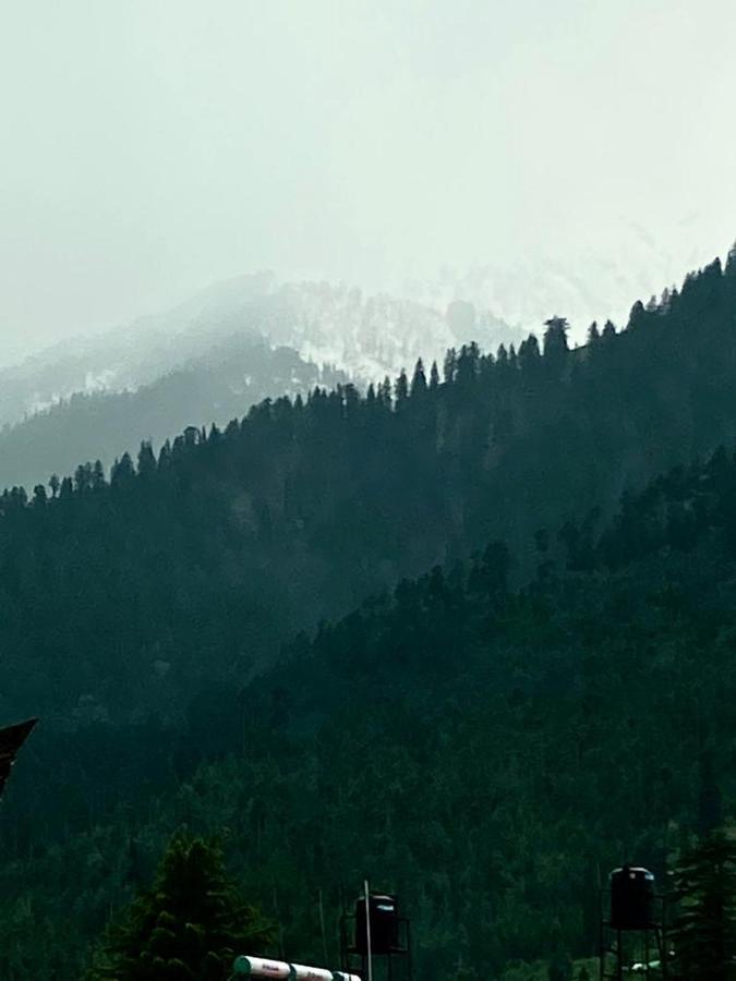 Woodlines Hotel Manali (Himachal Pradesh)