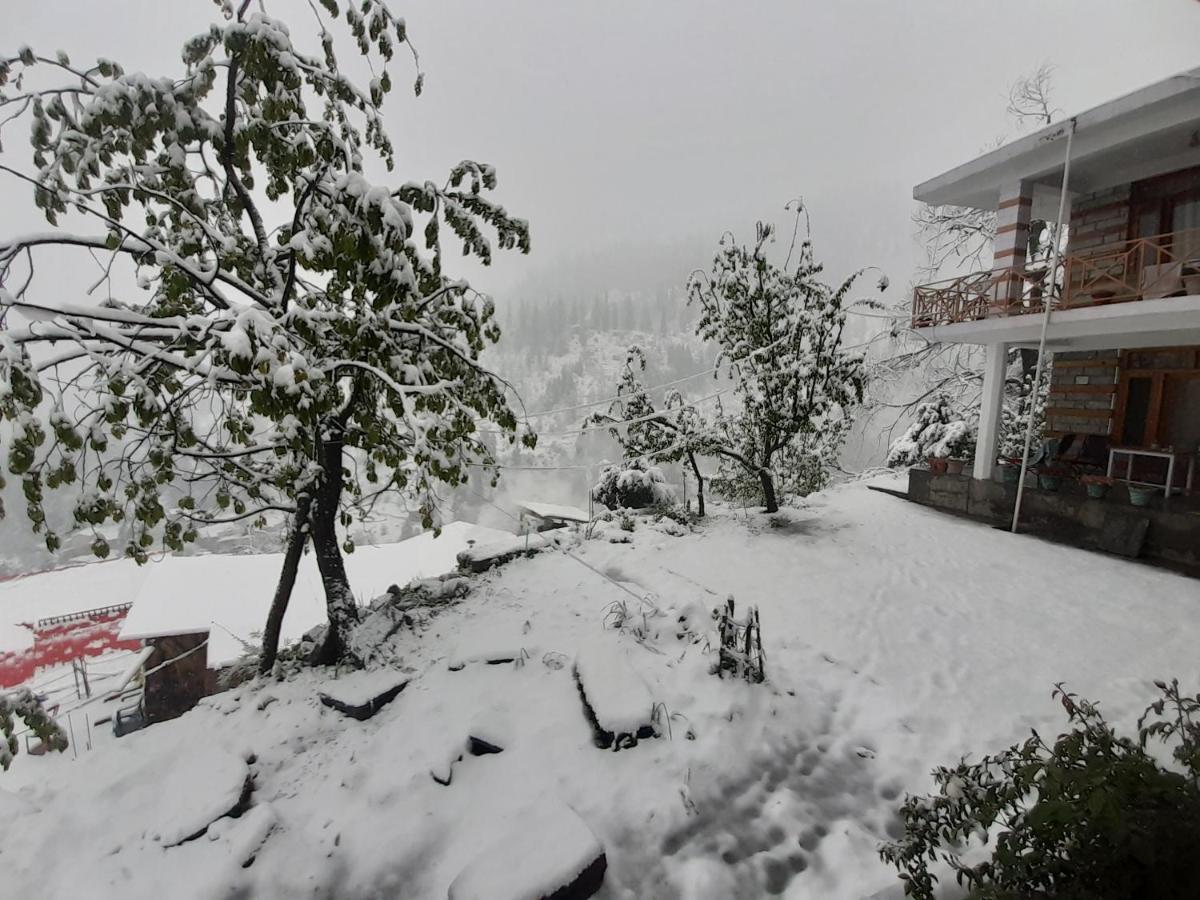 Guest house Doghari Homes