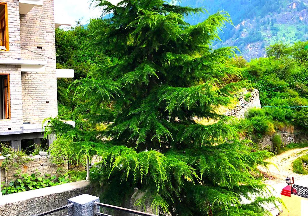 3 Bhk Shashwat With Inside Fire Place * Manali (Himachal Pradesh)