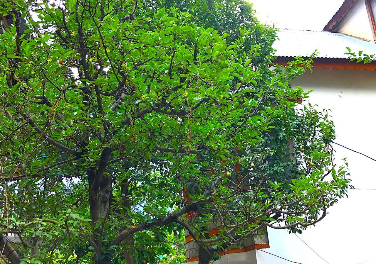 3 Bhk Shashwat With Inside Fire Place * Manali (Himachal Pradesh)