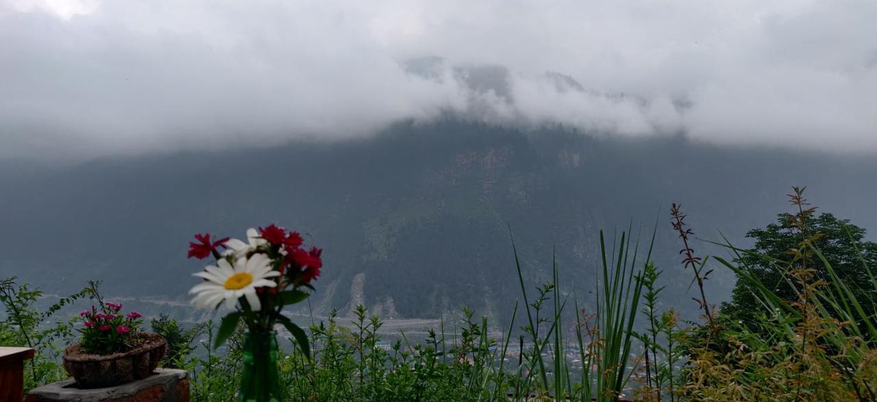 Firgunn Stays Manali (Himachal Pradesh)