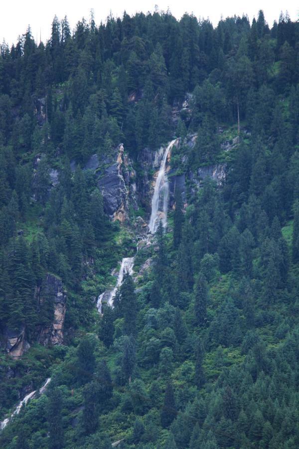 Hotel Firgunn Stays Manali (Himachal Pradesh)