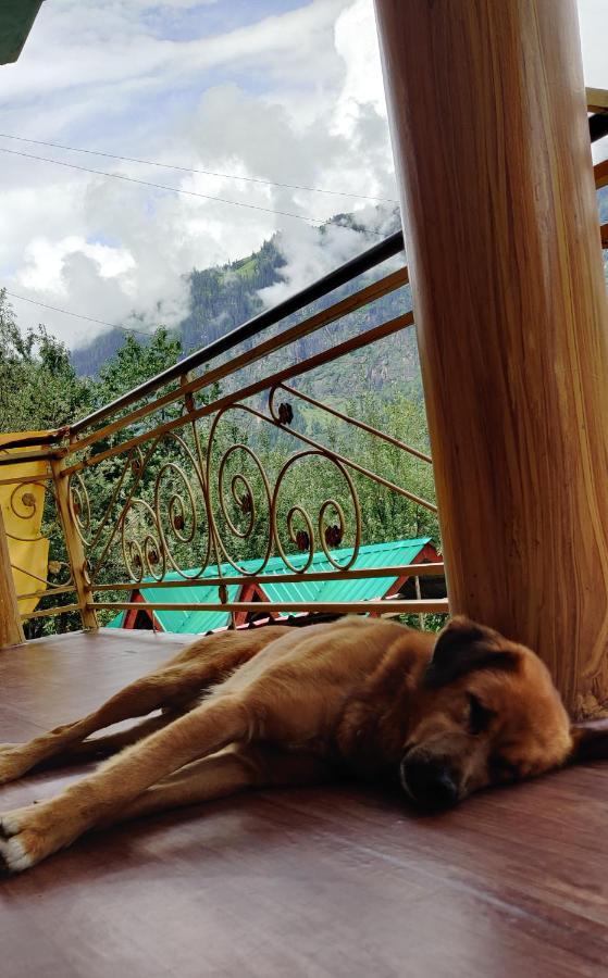 Firgunn Stays Hotel Manali (Himachal Pradesh)