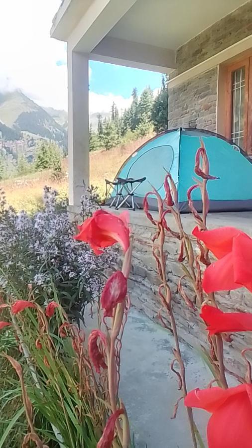 Homestay Kothi Hotel & Homestay *