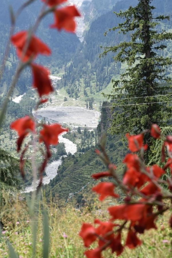 Kothi Hotel & Homestay Manali (Himachal Pradesh)