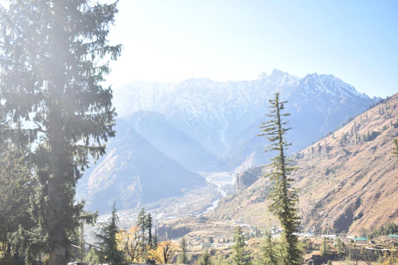 Kothi Hotel & Homestay * Manali (Himachal Pradesh)