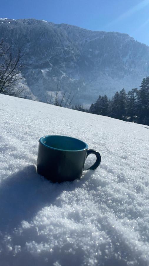 The Mad King's House & Cafe Guest house Manali (Himachal Pradesh)