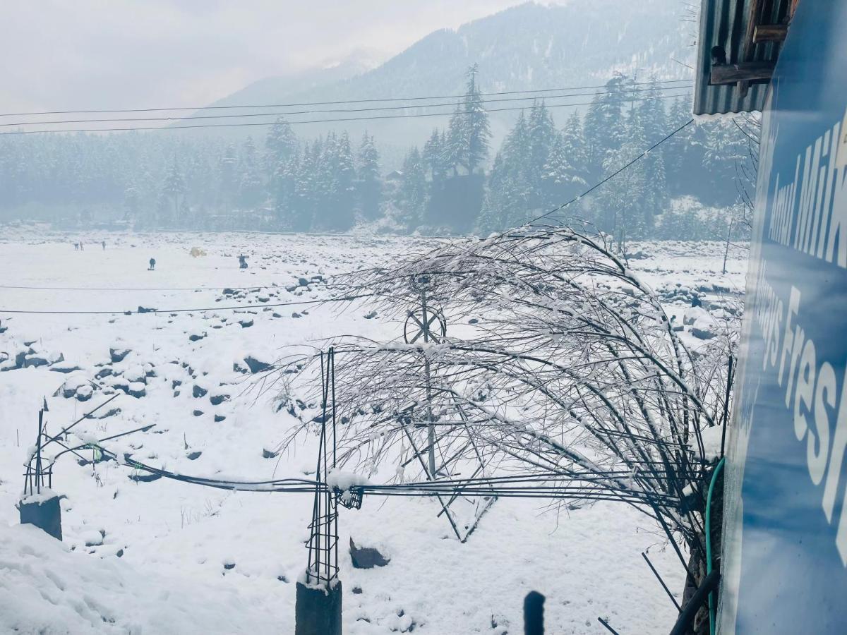 Mountain Valley Resort Manali (Himachal Pradesh)