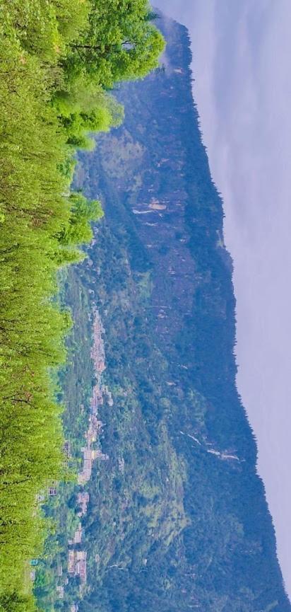 Firgunn Stays Hotel Manali (Himachal Pradesh)