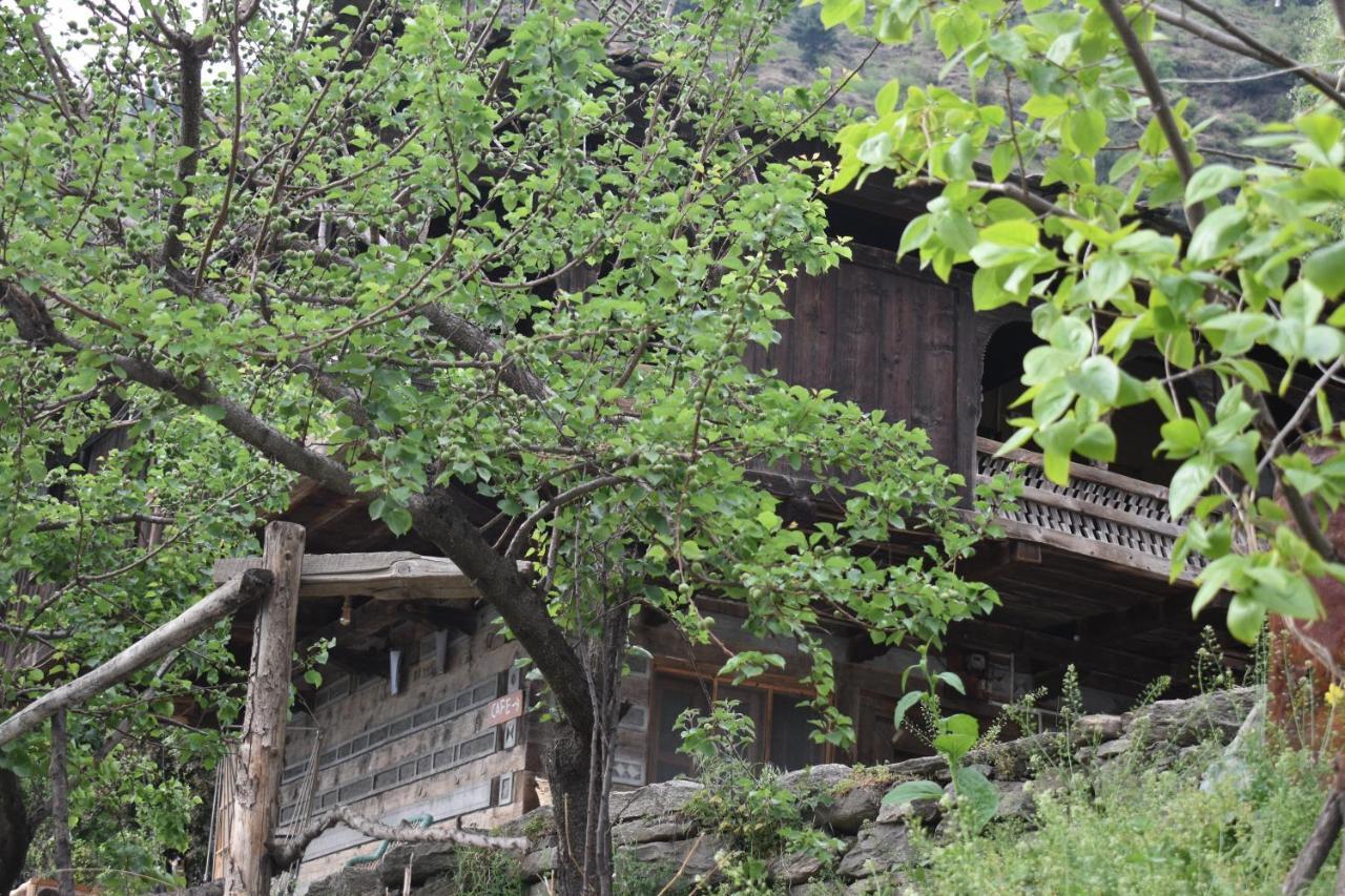 Time Trael Lodge