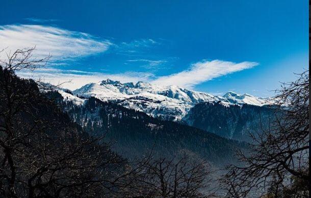 Sagar Resort - Manali Manali (Himachal Pradesh)