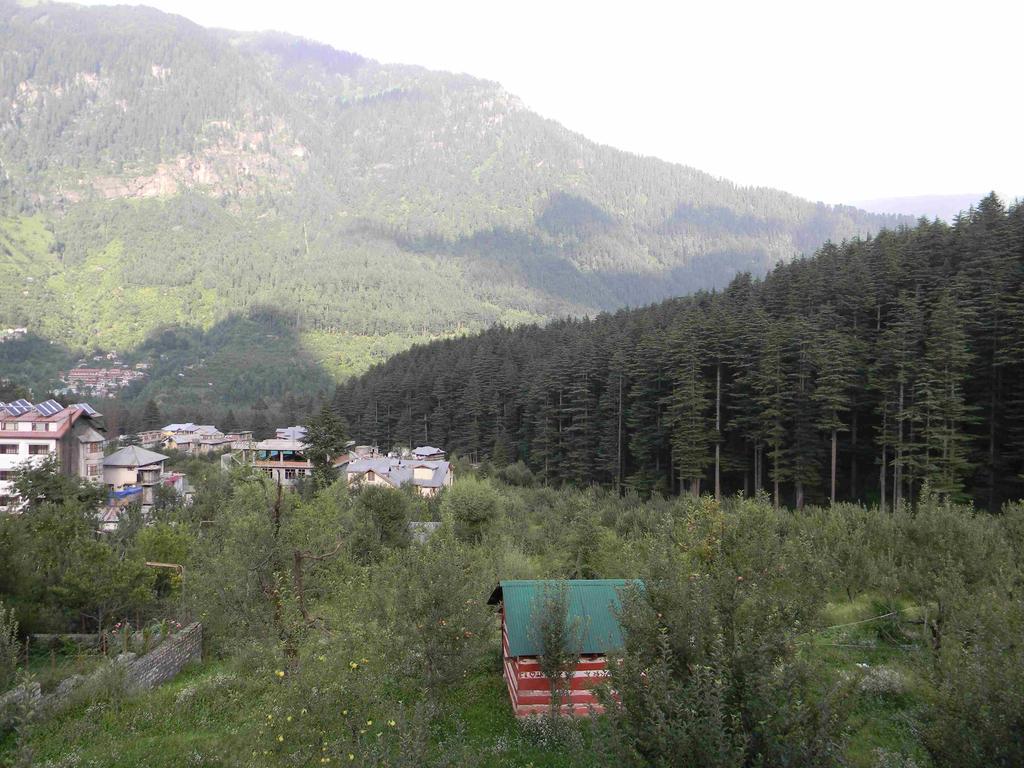 Resort Sparsh 3*