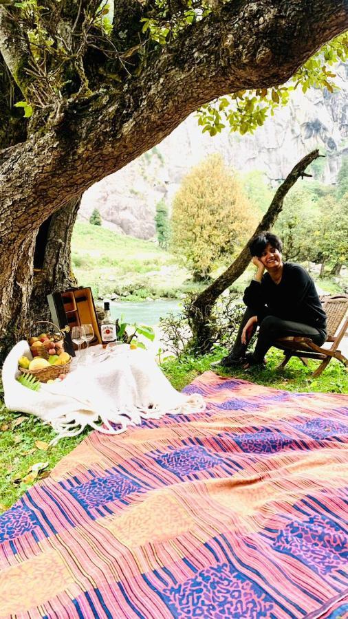 The Ivy House Sethan Manali (Himachal Pradesh)