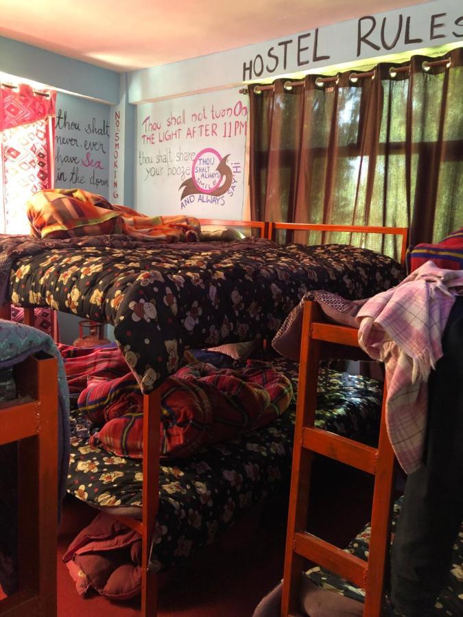Dorm Hostel