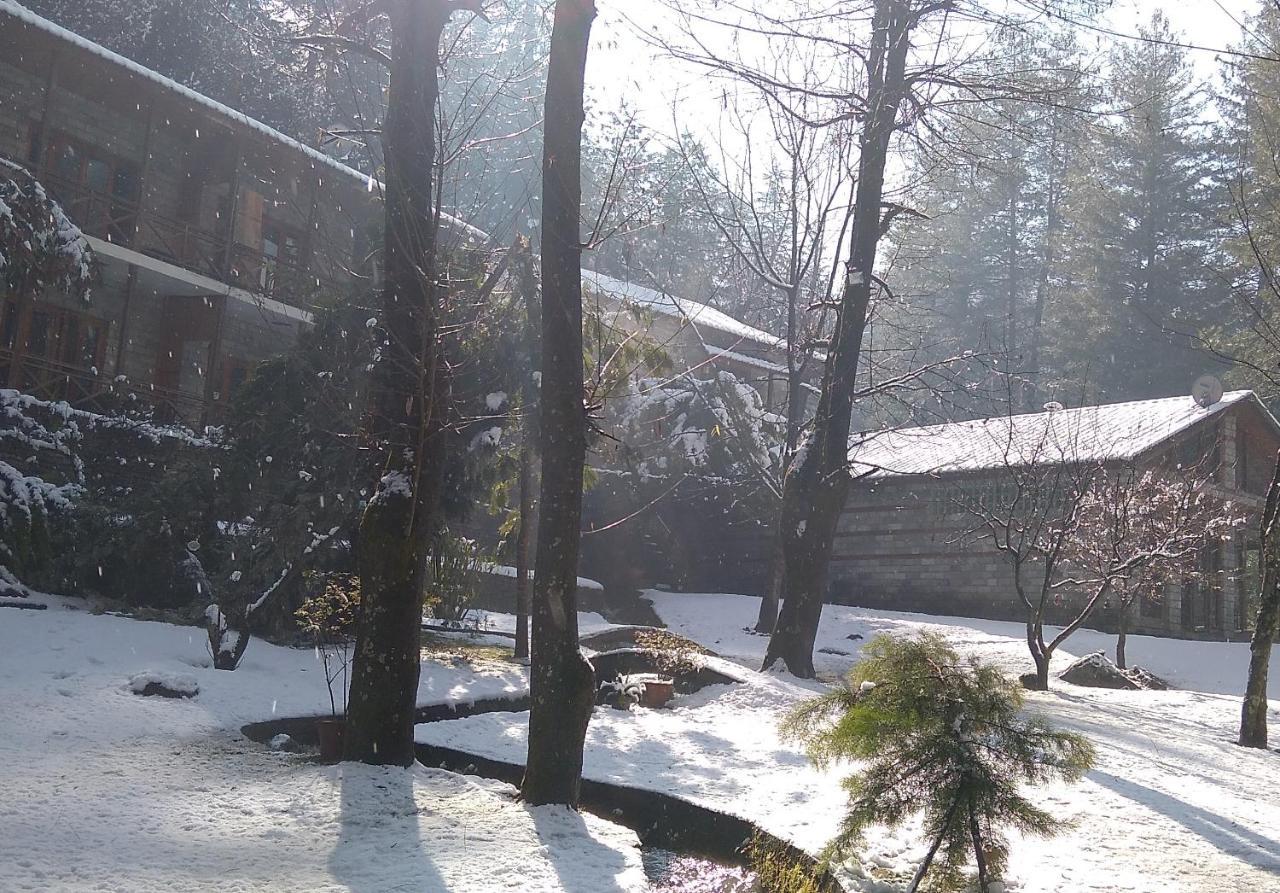 Hotel Tall Trees 4*
