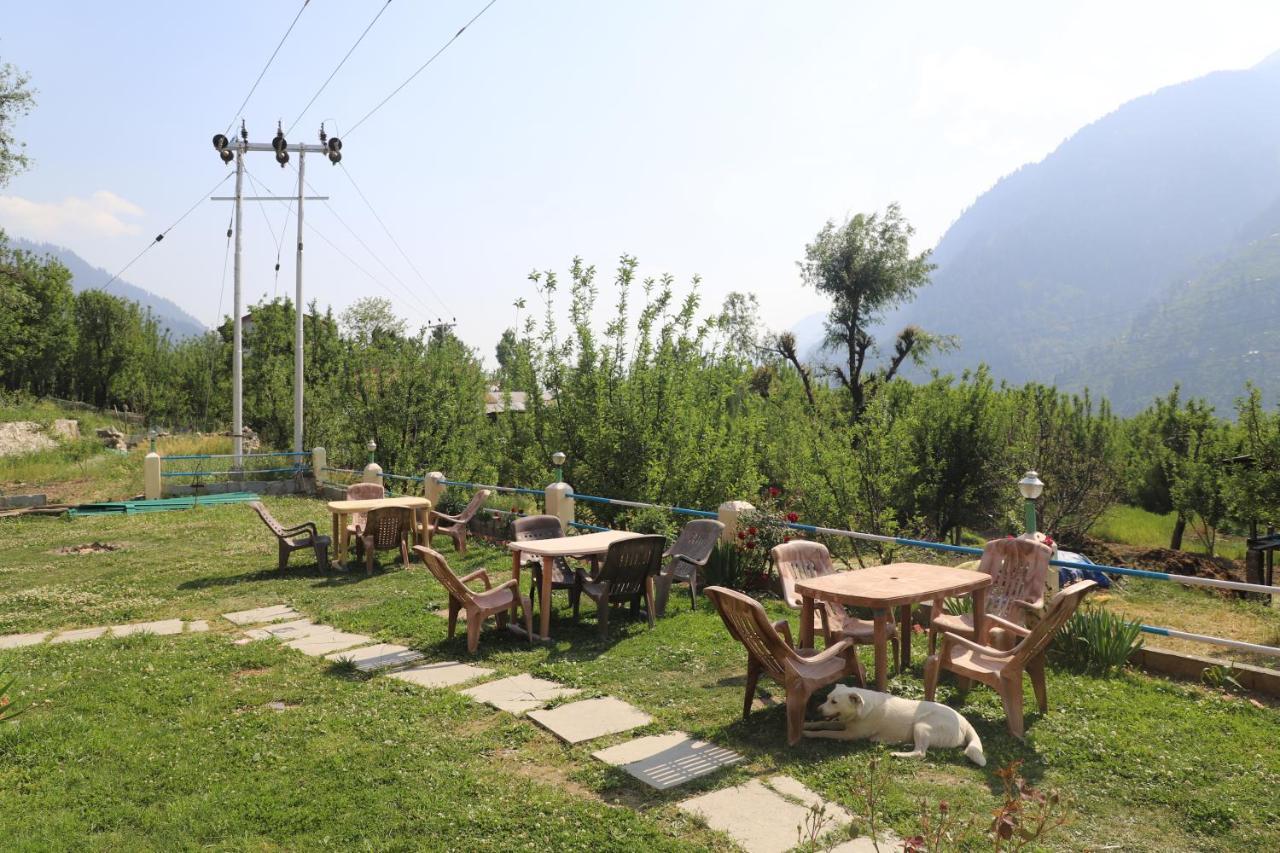 Hostel Indian Backpackers