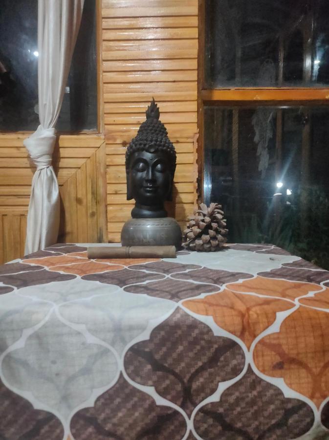 Indian Backpackers Hostel Manali (Himachal Pradesh)