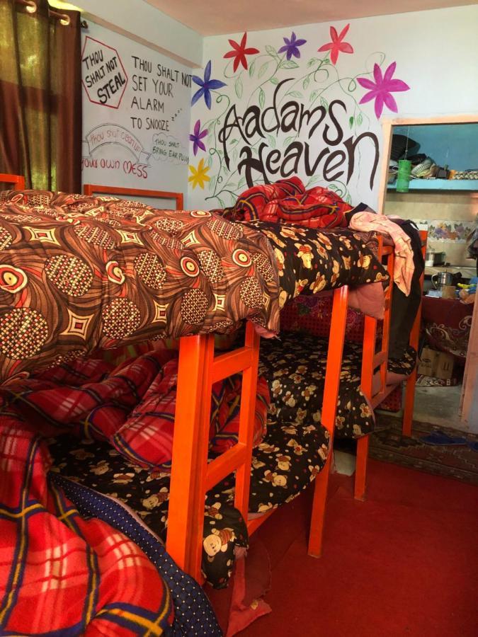 Hostel Dorm *
