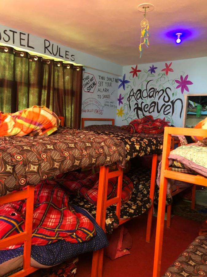 Dorm Hostel