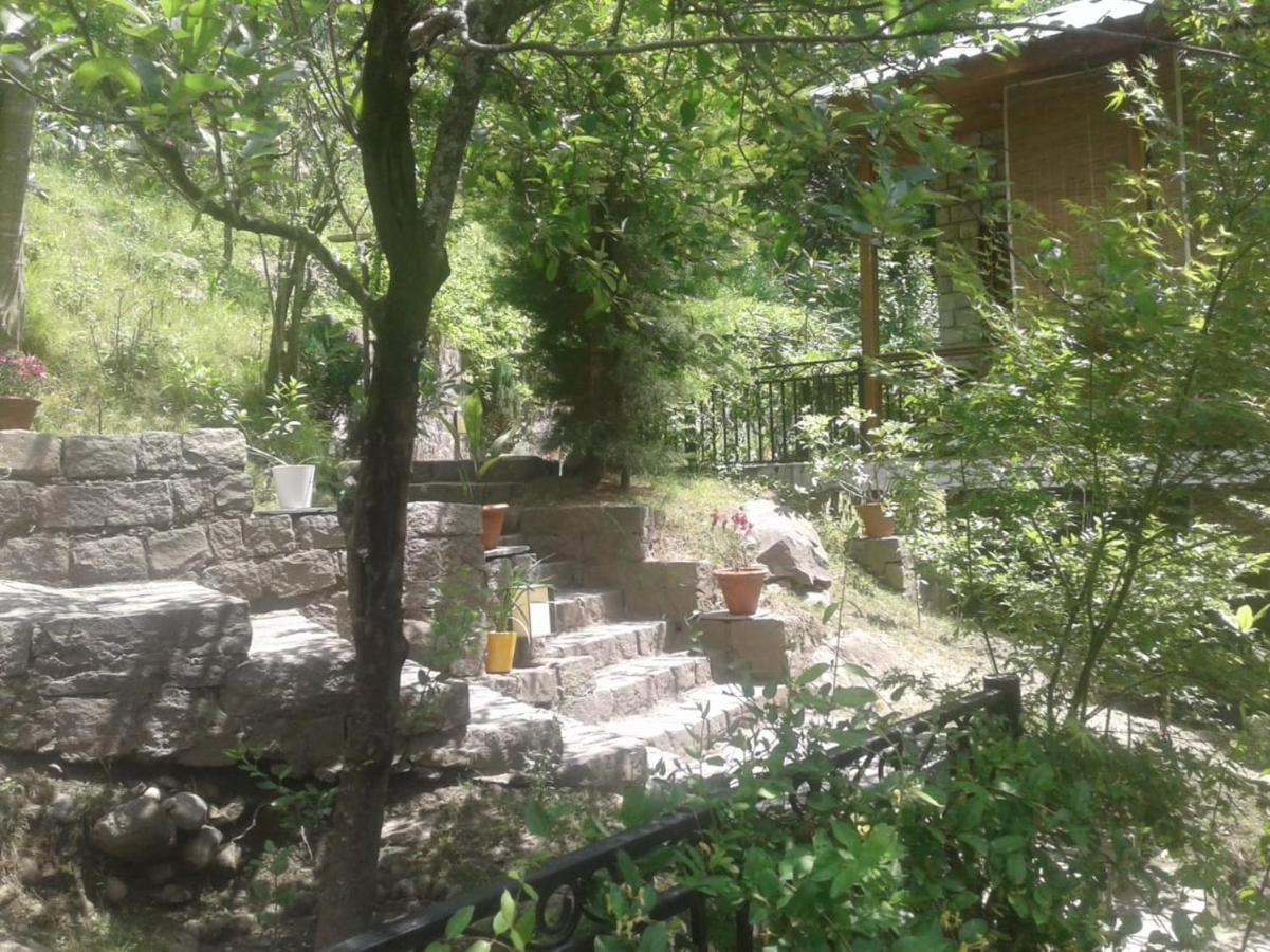 Tall Trees Hotel Manali (Himachal Pradesh)