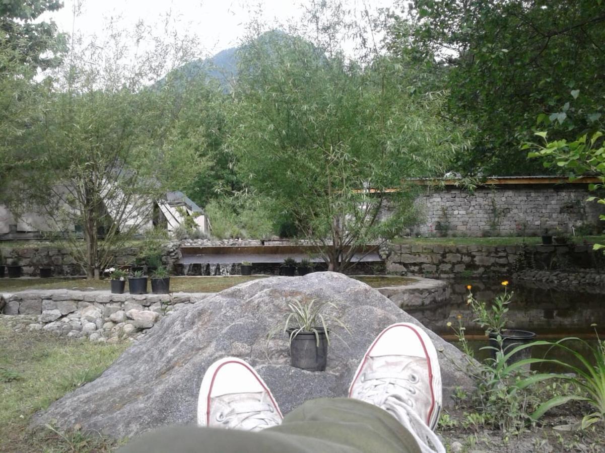 Tall Trees 4* Manali (Himachal Pradesh)