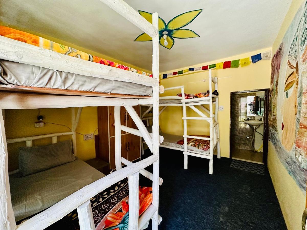 Hostel 360 Degree Manali (Himachal Pradesh)
