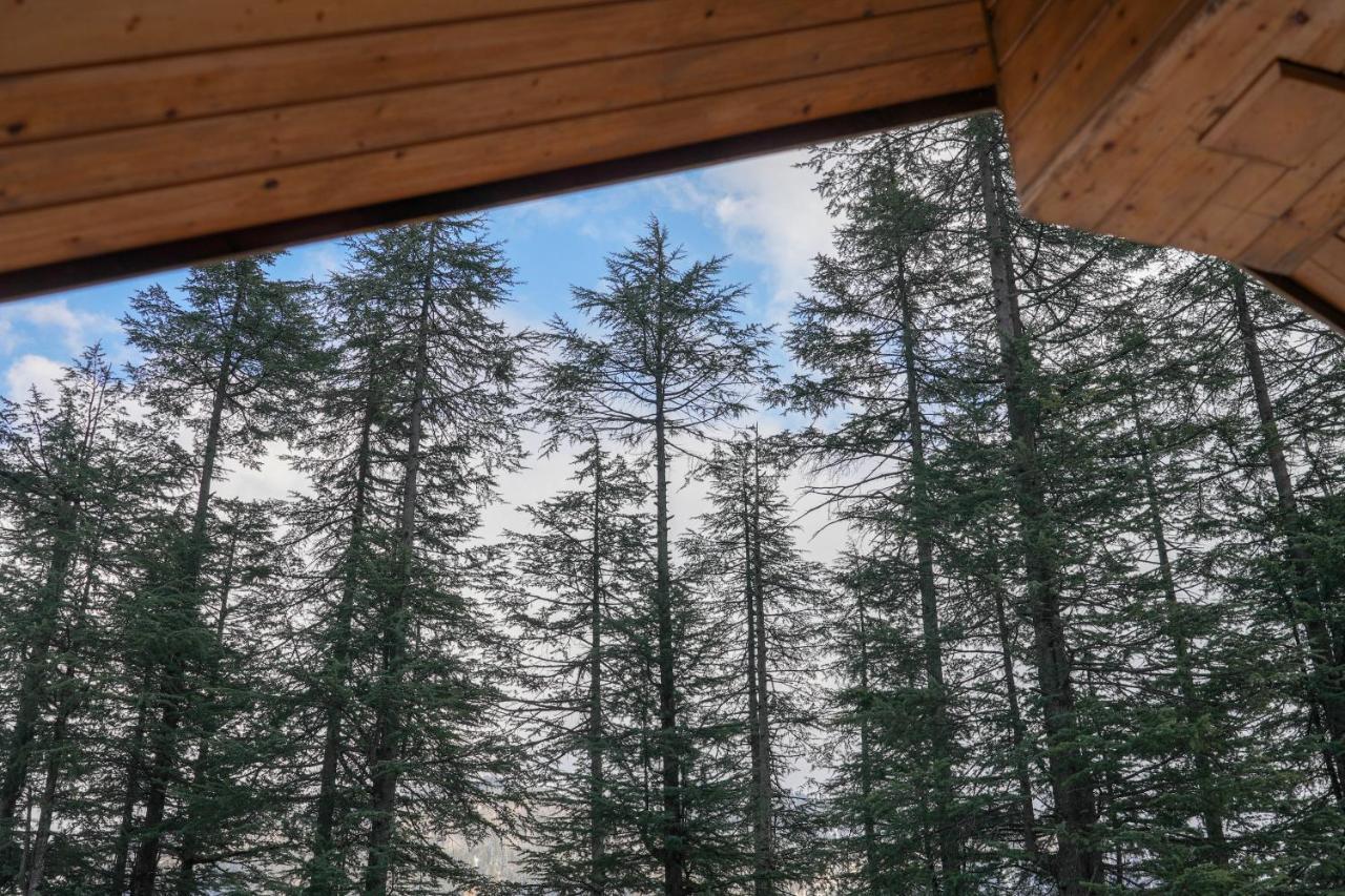 Villa Forest Way Manali-2bhk