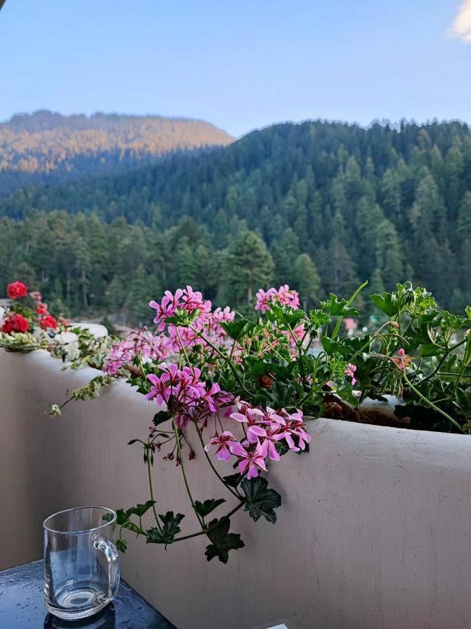 Indian Backpackers * Manali (Himachal Pradesh)
