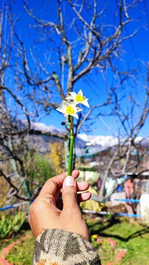 Hostel Indian Backpackers Manali (Himachal Pradesh)