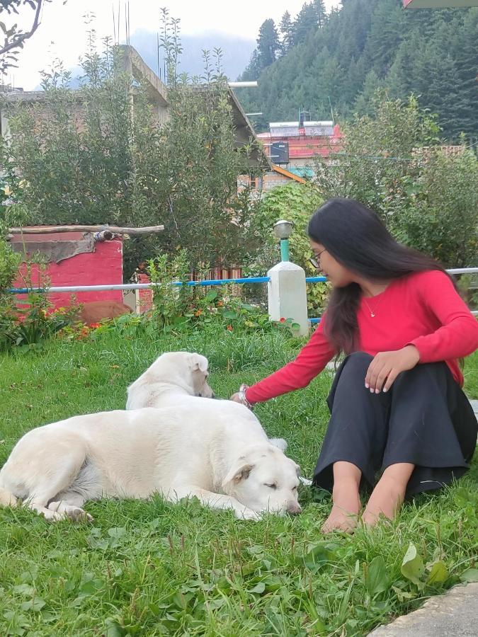 Indian Backpackers * Manali (Himachal Pradesh)