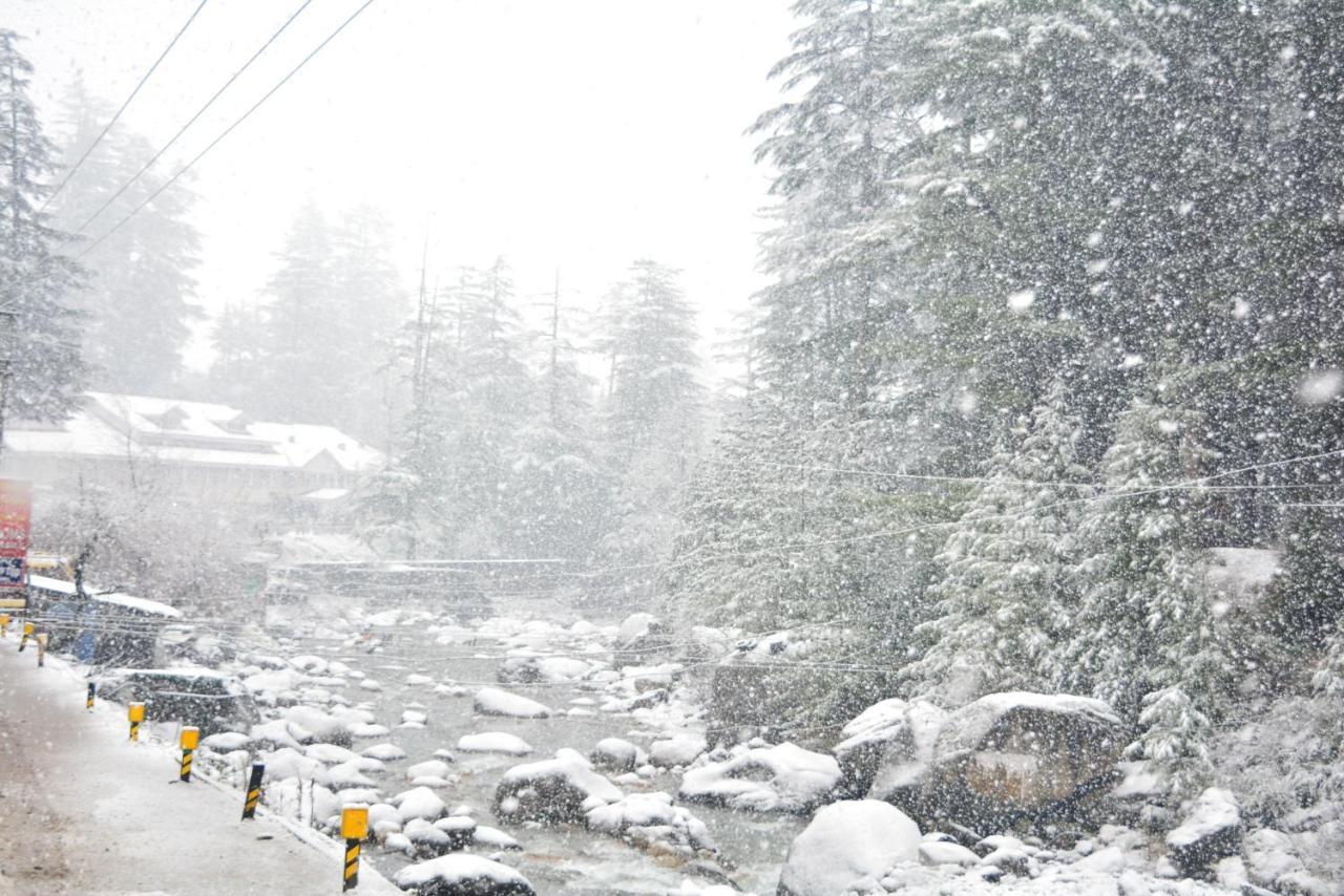 Neelgiri - Diaries
