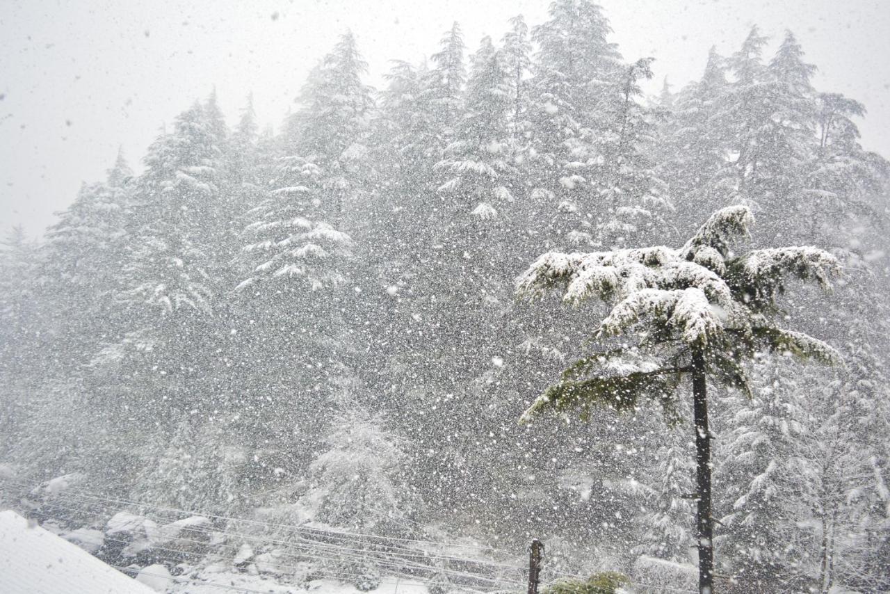 Hotel Neelgiri - Diaries Manali (Himachal Pradesh)